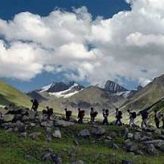 Bhutan Tour with Four Days Druk Path Trek – 7 Days
